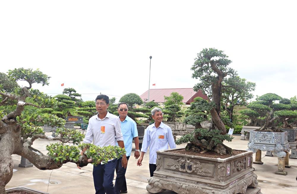 anh tin bai